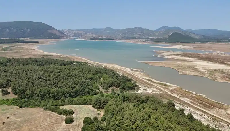 İzmir’de Tehlikeli Düşüş: Geçtiğimiz Yıla Göre Yüzde 50 Azalma