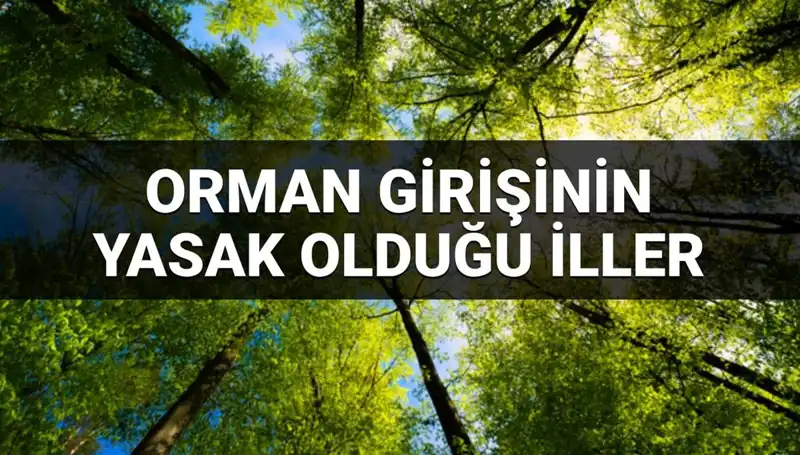 2025 Yılında Ormana Girişin Yasaklandığı İller: İşte Detaylar