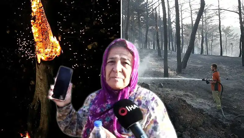Çanakkale Orman Yangınları Kontrol Altına Alındı: Kayıplar ve Kurtarma Mücadelesi