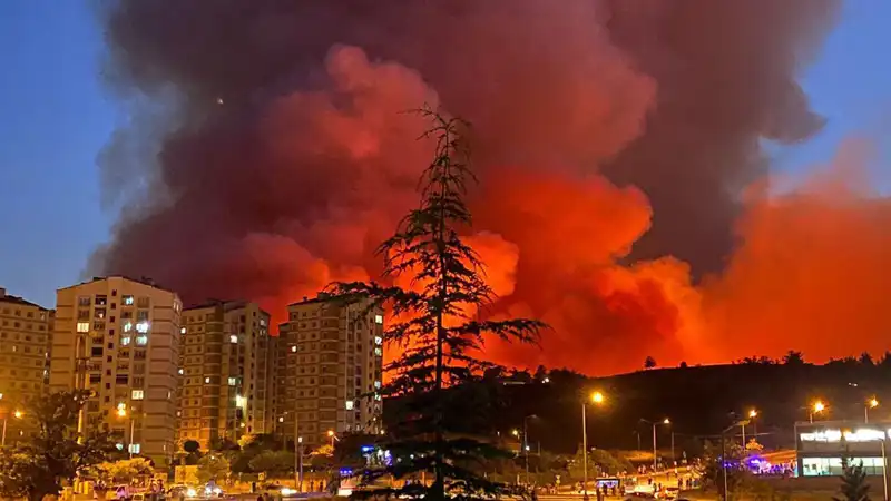 Bursa'da Yangın Tehlikesi: Şehir Göz Göre Göre Yanıyor