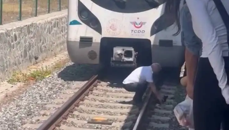 Marmaray Makinistinin Hayvanseverliği: Raylardaki Kediyi Kurtardı