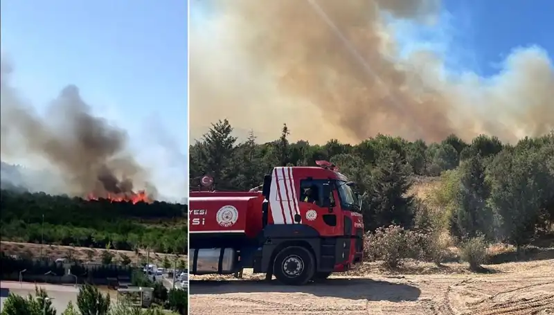 Gebze'de Orman Yangını: Korkutan Alevler Büyüyor, Müdahale Devam Ediyor