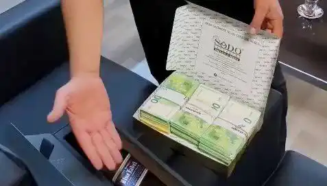 Manavgat Belediyesi'ne Yapılan Operasyon: Baklava Kutusunda Saklanan Avrolar