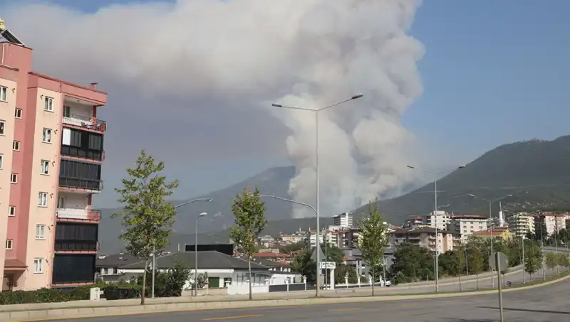 Denizli'de Orman Yangını: Bir Şüpheli Gözaltına Alındı, Olayın Ayrıntıları Ortaya Çıktı