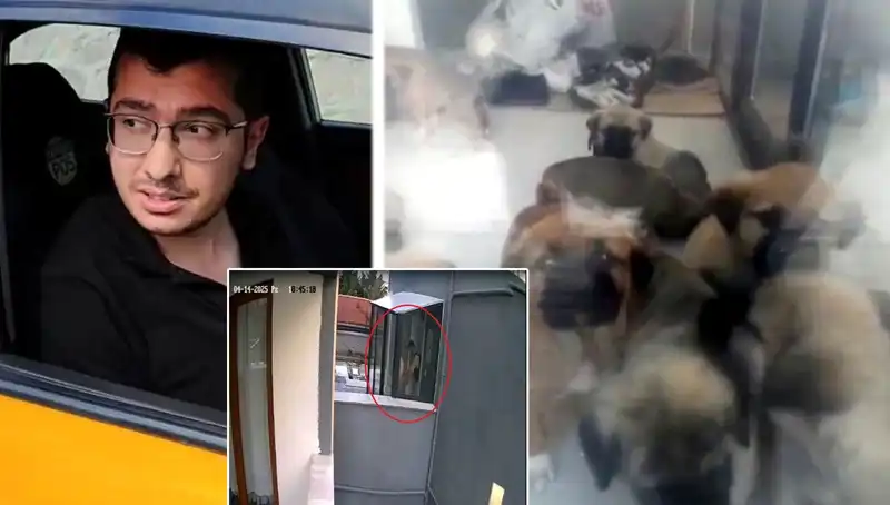 İnanılmaz Skandal: Veteriner, 12 Yavru Köpeği Evinde Katletti!