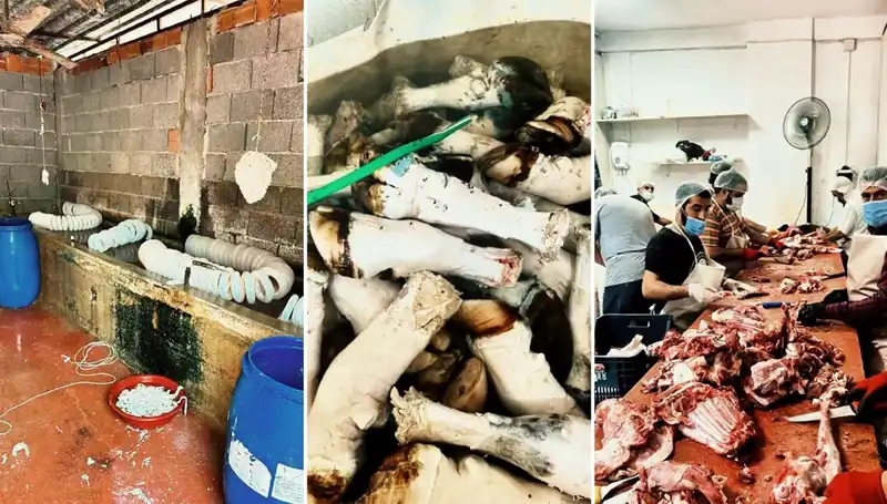 Adana’da Şok Olay: Yüzlerce Kilo Paça Ele Geçirildi