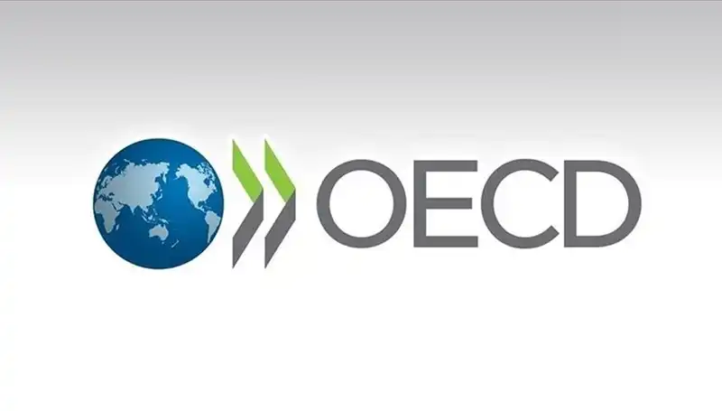 OECD, Türkiye'nin Ekonomik Büyüme Tahminini Güncelledi: Beklentiler Neler?