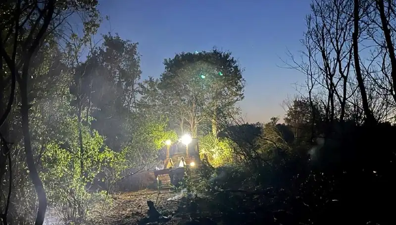 Edirne’deki Orman Yangını Kontrol Altına Alındı: Son Durum Nedir?