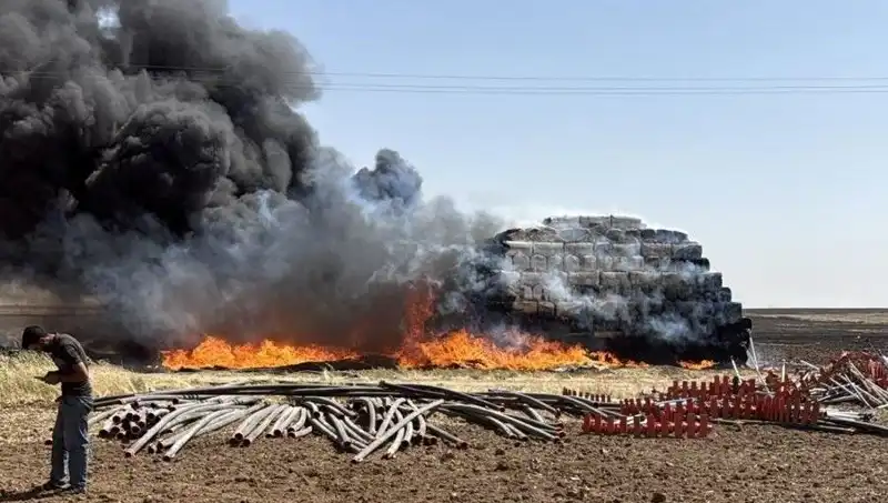 Mardin’deki Anız Yangınları: Tarım Alanları İçin Tehdit Oluşturuyor