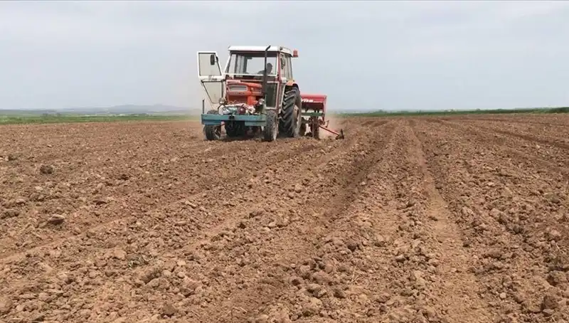 Son 35 Yılın En Kurak Mart Ayı: Yağış Miktarında Tarihi Düşüş