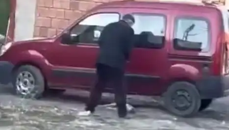 Sokak Ortasında Köpeğe Uygulanan Şiddet: Toplumu Gözyaşlarına Boğan Olay