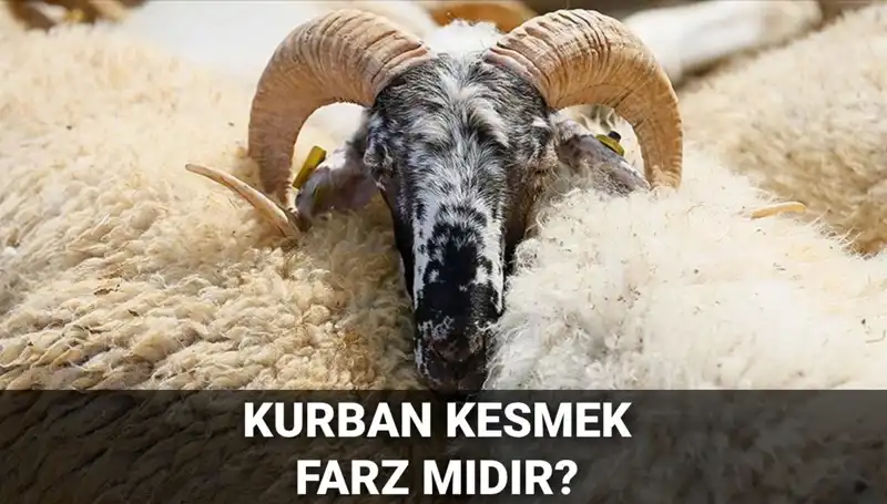Kurban Kesmek Farz mı? Diyanet'in Kılavuzluğunda Bilmeniz Gerekenler