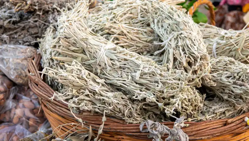 Stresle Mücadelede Mucize Bitki: Yararları ve Bilimsel Kanıtları