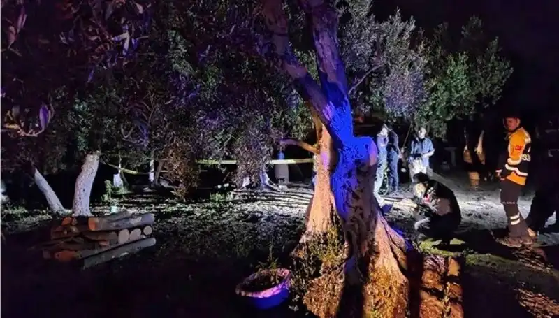 Çiftlikte Baltalı Vahşet: Şok Edici Olayda Bir Tutuklama Gerçekleşti