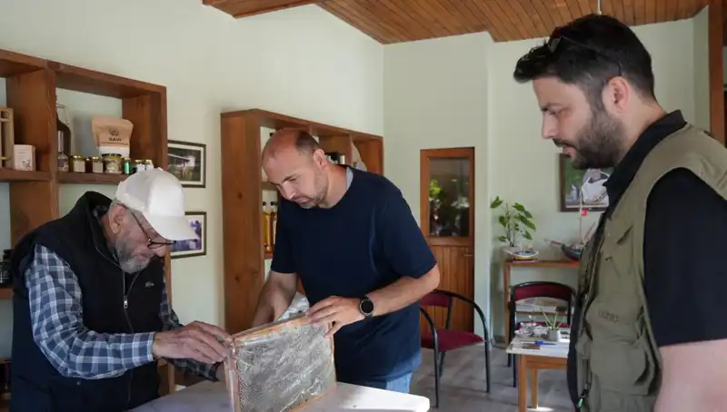 Hem Şifa Hem Zehir: Bu Bitkiyi Doktor Tavsiyesiyle Tüketmenin Önemi