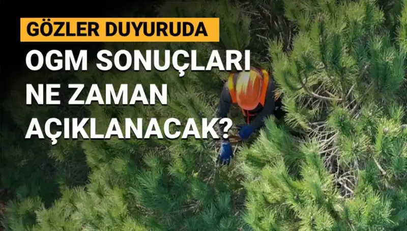 Orman Genel Müdürlüğü 3 Bin 477 Sözleşmeli Personel Alımı Sonuçları Açıklanıyor!
