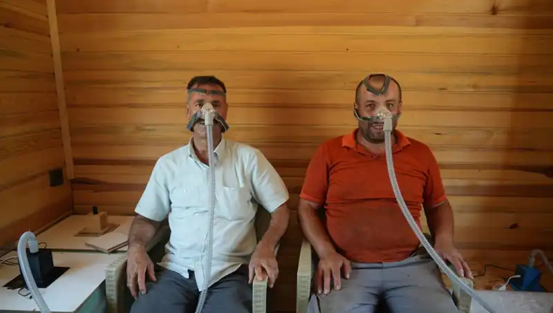 Alerji, Astım ve Bronşite Şifa: Doğanın Gücüyle Tanışın!