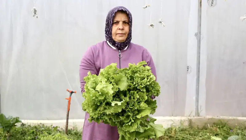 Emekli Olup Hayallerini Gerçekleştiren Kadın: Memlekete Döndü, Başarıya Koştu